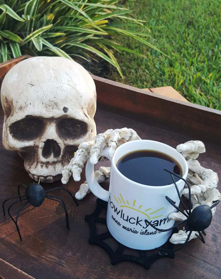 halloween skull and spider coffee mug display gallery